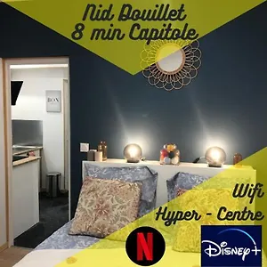 Nid Douillet - 8 Min Capitole Appartement Toulouse